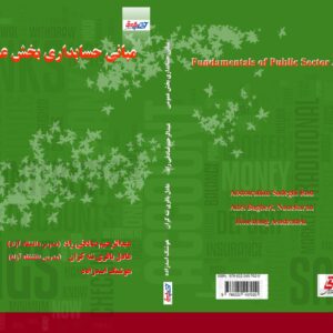 مبانی حسابداری بخش عمومی