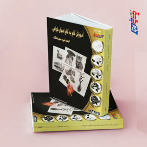 آموزش گام به گام اصول طراحی اجسام و حیوانات