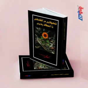 شکوفایی در آشفتگی با انعطاف پذیری