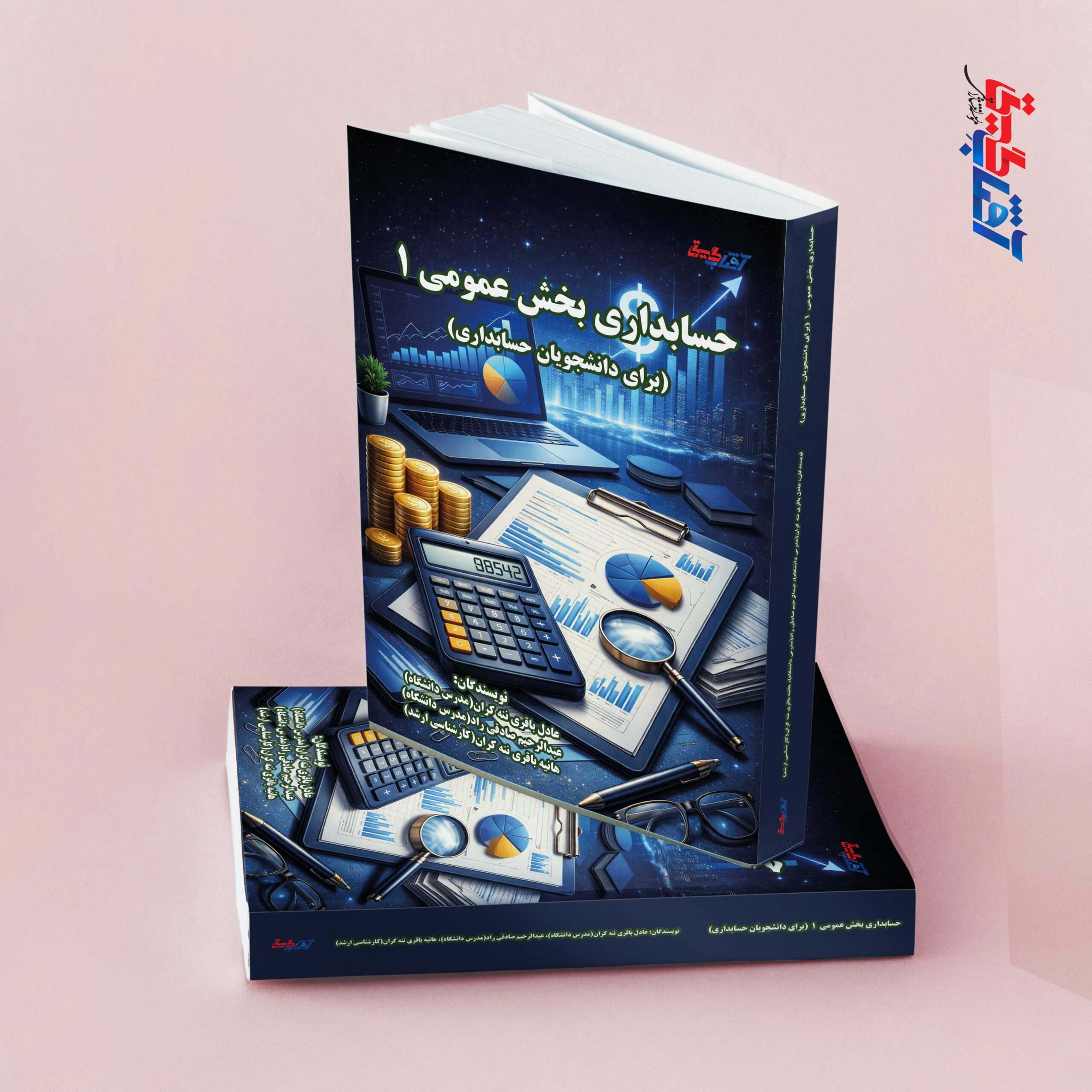حسابداری بخش عمومی 1